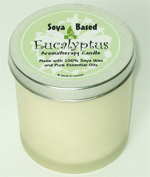 Eucalyptus Soy Candle - Glass Container